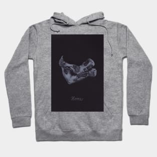 Home (Larry Stylinson) Hoodie